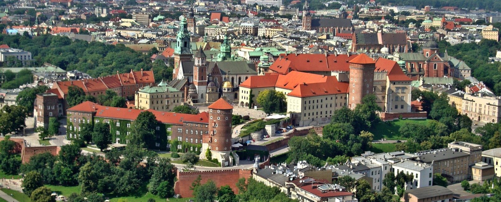 Rynek Pierwotny by Tomasz Danicki