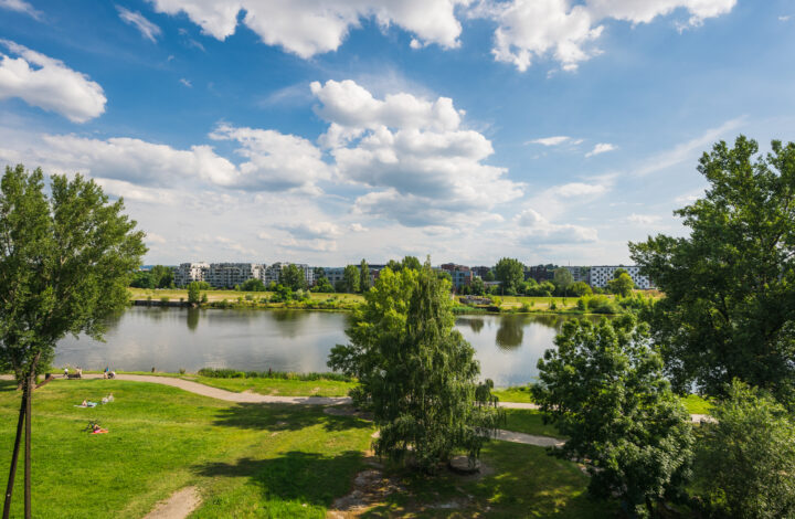 Kraków, Śródmieście, prof. Marka Stachowskiego