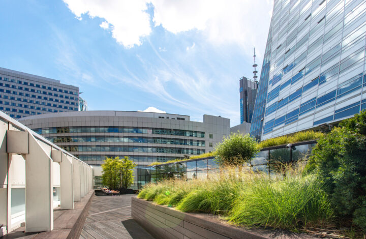 Warszawa, Śródmieście, Złota