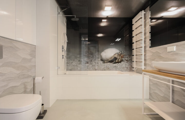 Jedyny w swoim rodzaju apartament | strefa SPA
