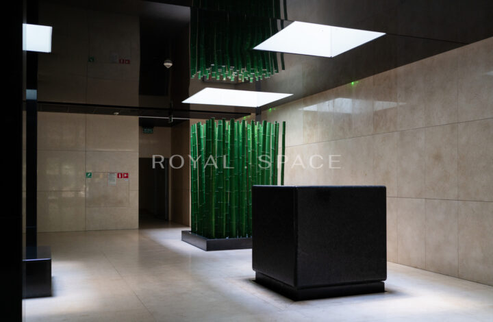 Spacious apartment with balcony in the capital!