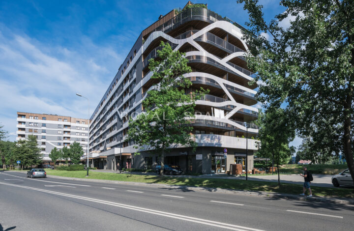 Kraków, Śródmieście, prof. Marka Stachowskiego