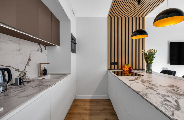 Dream apartment on Emilii Plater!