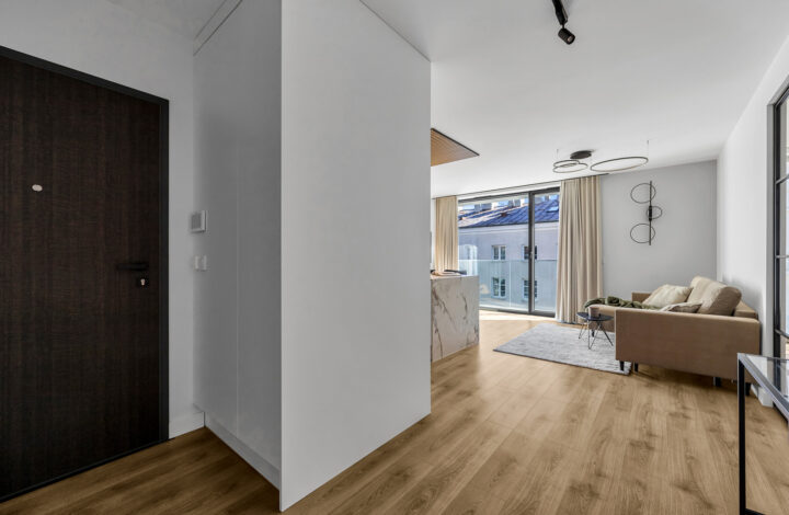 Dream apartment on Emilii Plater!