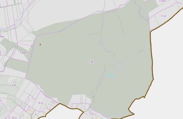 Forest plot of 13 hectares in the area of Krakow!