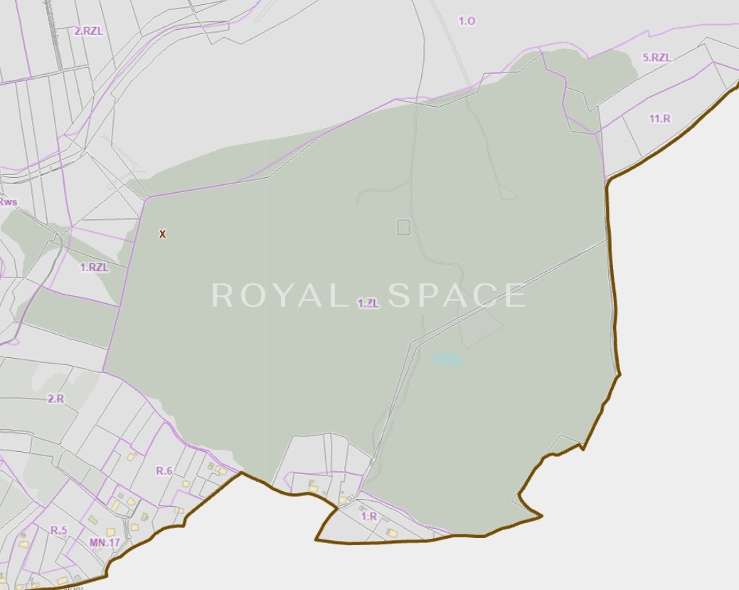 Forest plot of 13 hectares in the area of Krakow!