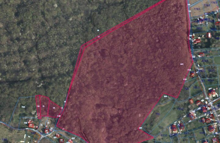 Forest plot of 13 hectares in the area of Krakow!