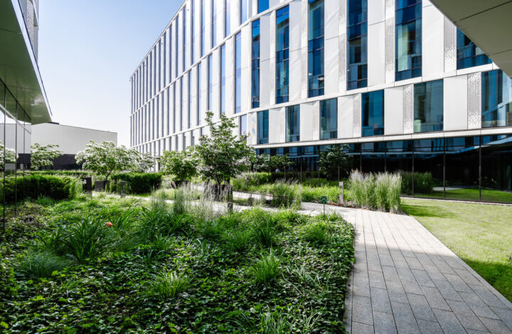 Modern office for rent in the center of Krakow!