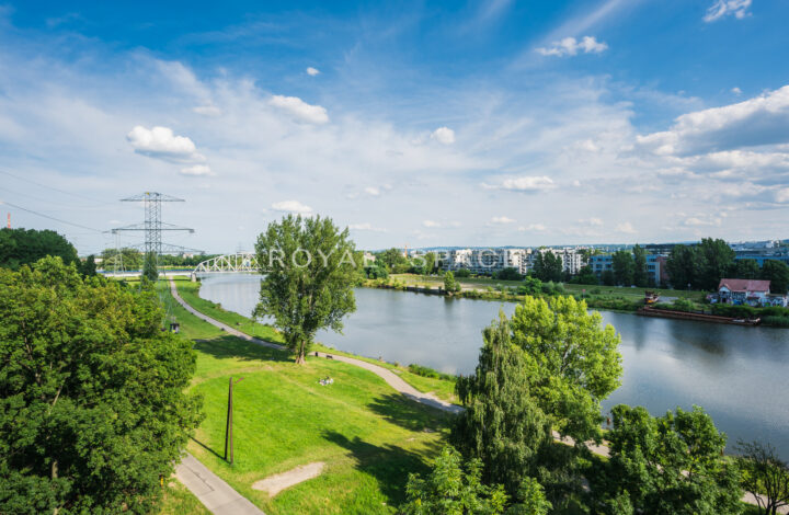 Studio with a large terrace and a view