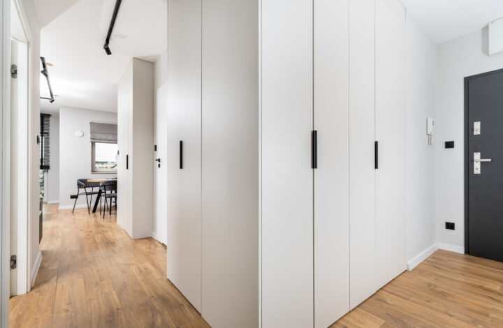 Modern apartment in Zabłocie | Lokum Salsa