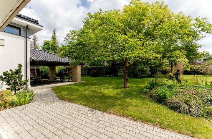 Prestigious House with Large Plot | NEW PRICE