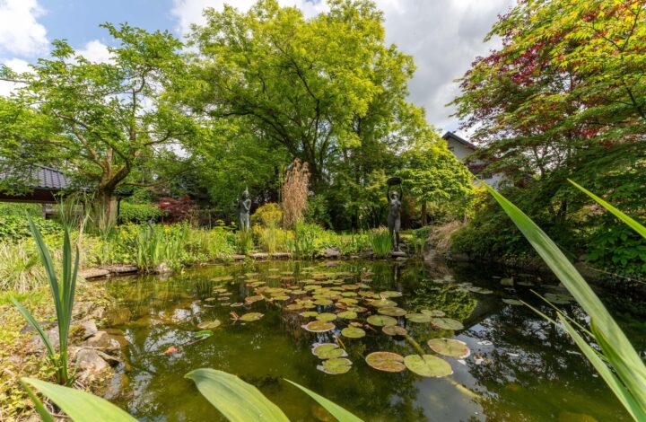 Prestigious House with Large Plot | NEW PRICE