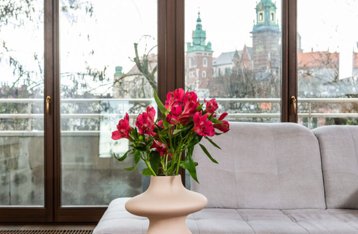 Apartment with a SPA zone and a view of Wawel!