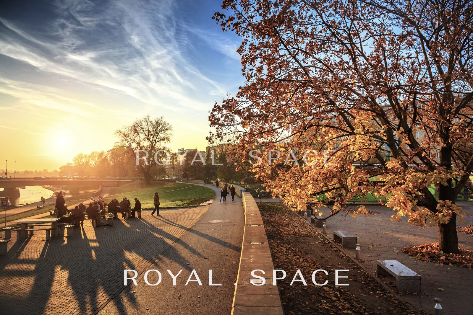 Kossak Residence | kawalerka | ENG