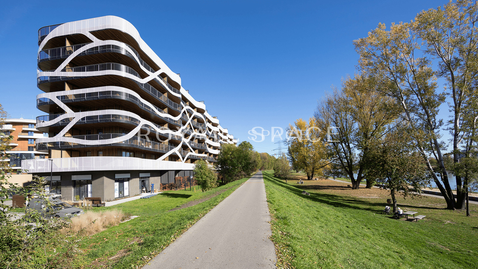 Kraków, Śródmieście, prof. Marka Stachowskiego