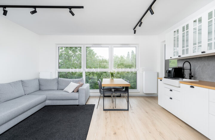 Kraków, Śródmieście, Stanisława Lema