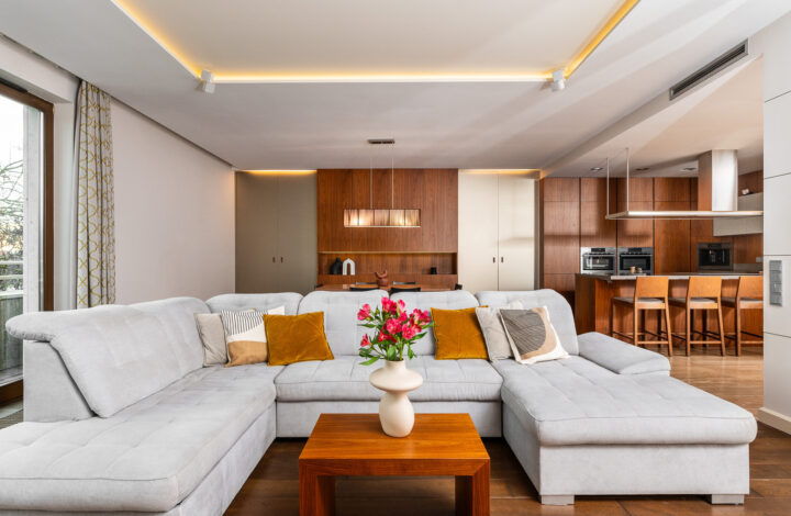 Apartment with a SPA zone and a view of Wawel!