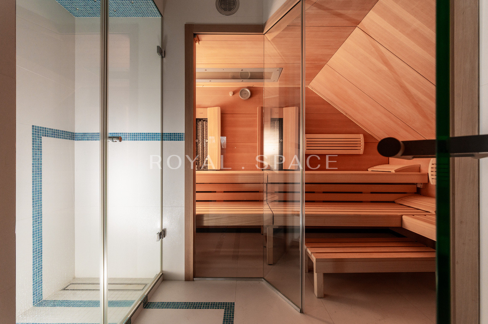 Вілла преміум-класу з приватним садом!