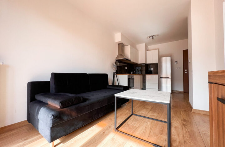 Двокімнатна квартира в Centralna Park!