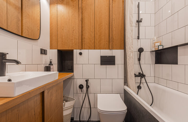 Atmospheric renovated apartment in Praga