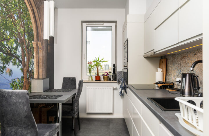 Функціональна квартира | Konopnicka City Park