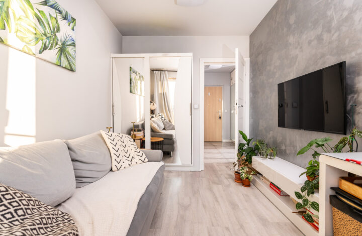 Cozy Apartment in Konopnicka City Park