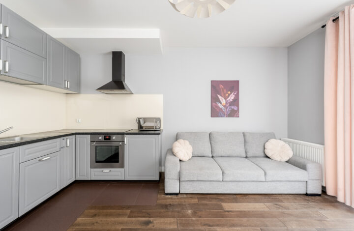 Mieszkanie z tarasem w centum | Browar Lubicz