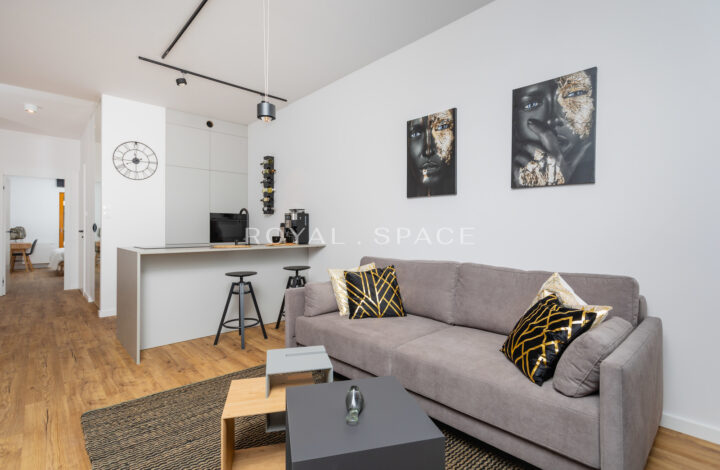 Modern apartment on Rakowicka Street