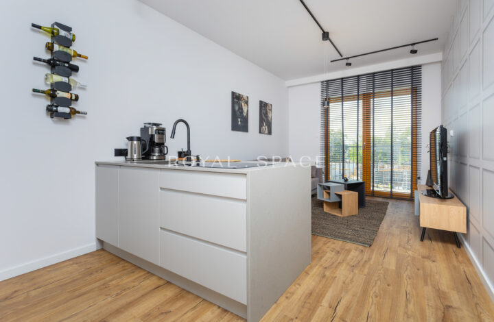 Modern apartment on Rakowicka Street