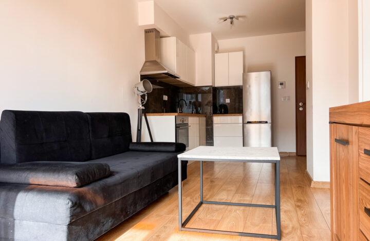 Pets friendly | ul. Galicyjska, 2 pokoje