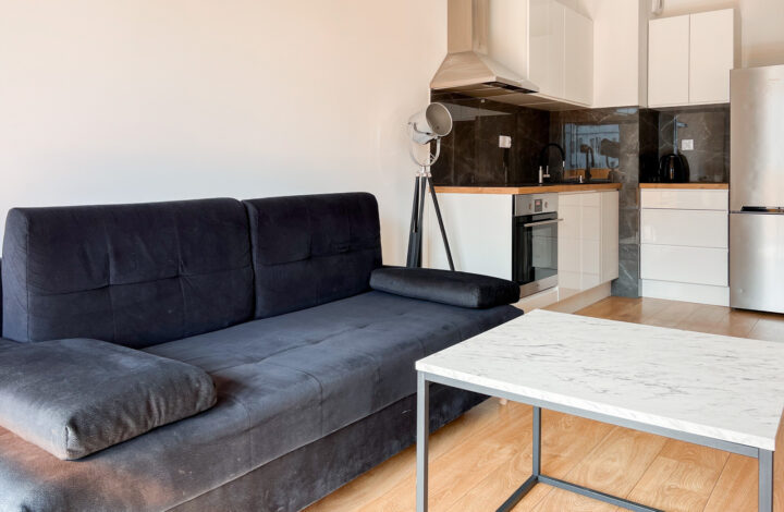 Pets friendly | ul. Galicyjska, 2 pokoje