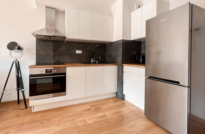 Pets friendly | ul. Galicyjska, 2 pokoje