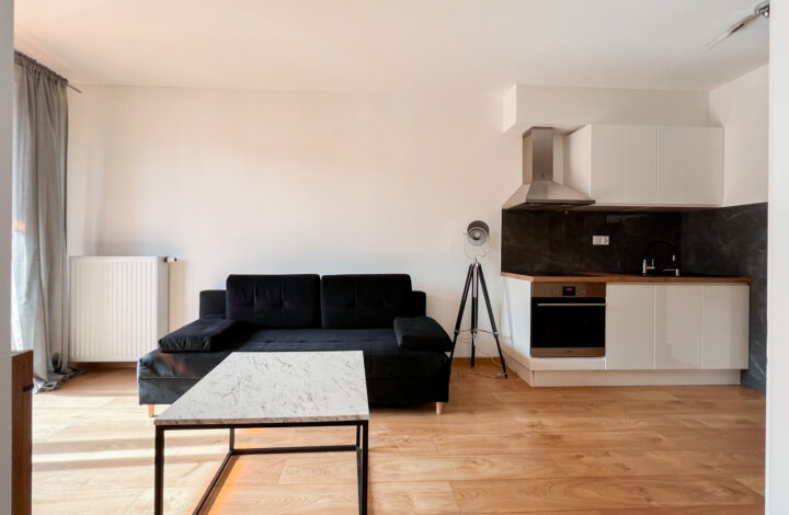 Pets friendly | ul. Galicyjska, 2 pokoje