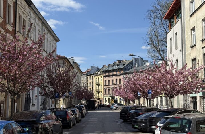 Mieszkanie w kamienicy przy ulicy Miodowej
