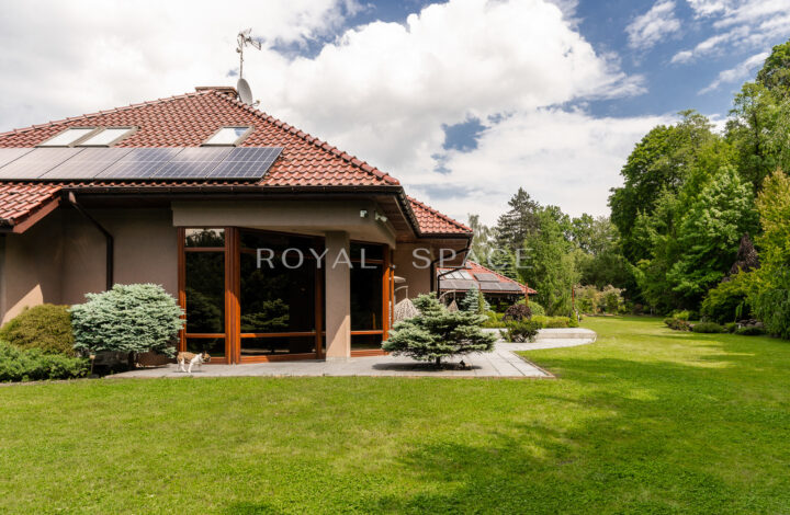 Luxury villa with jacuzzi, sauna and large garden