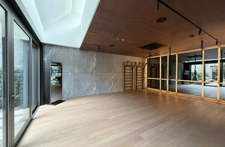 Comfortable studio with balcony | N14