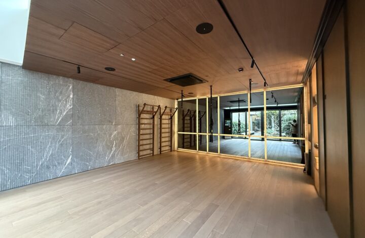 Comfortable studio with balcony | N14