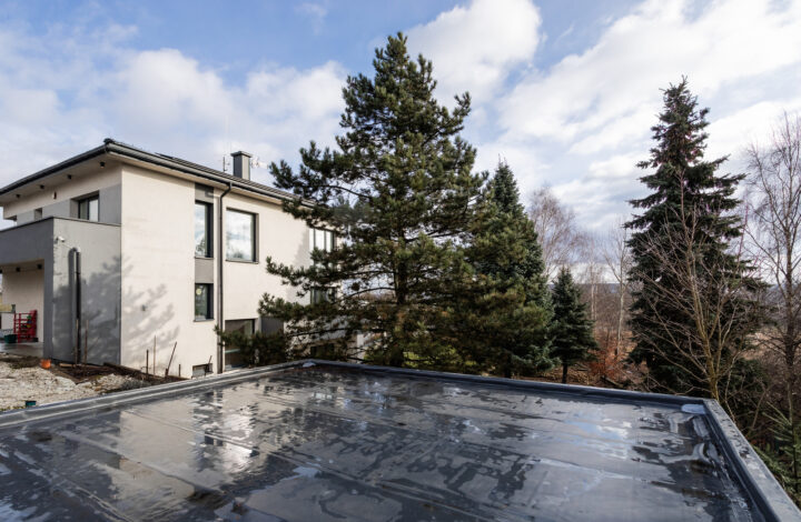 Energy-efficient house – sauna, gym and Smart Home