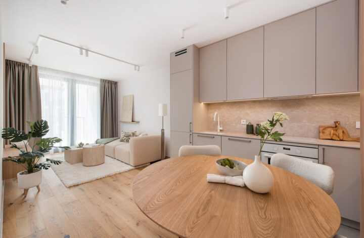Modern apartment with balcony | Młyny Mogilska