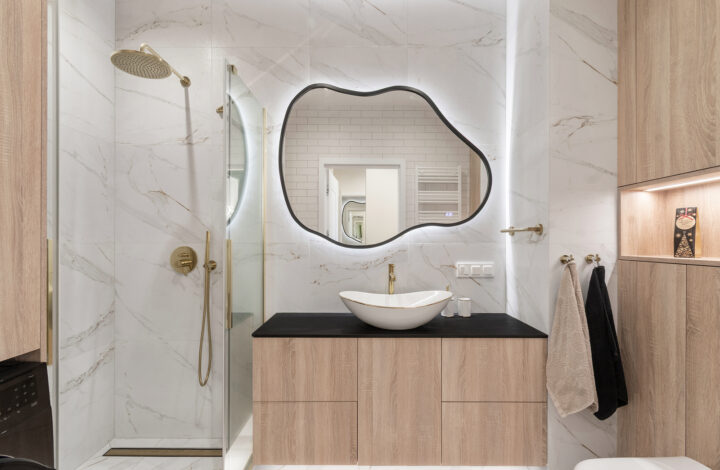 High-standard apartment in New Praga