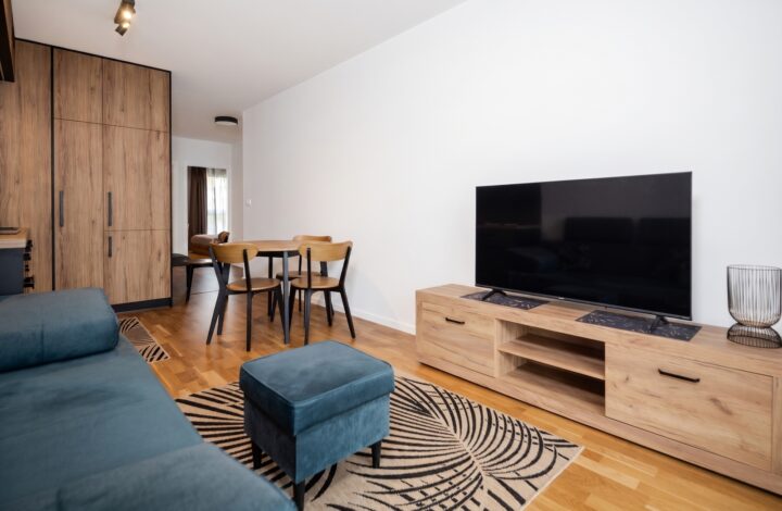 Modern 3-room apartment near the Wisła River!