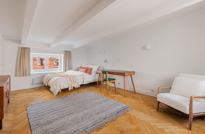 Penthouse with a rooftop terrace | Old Ochota