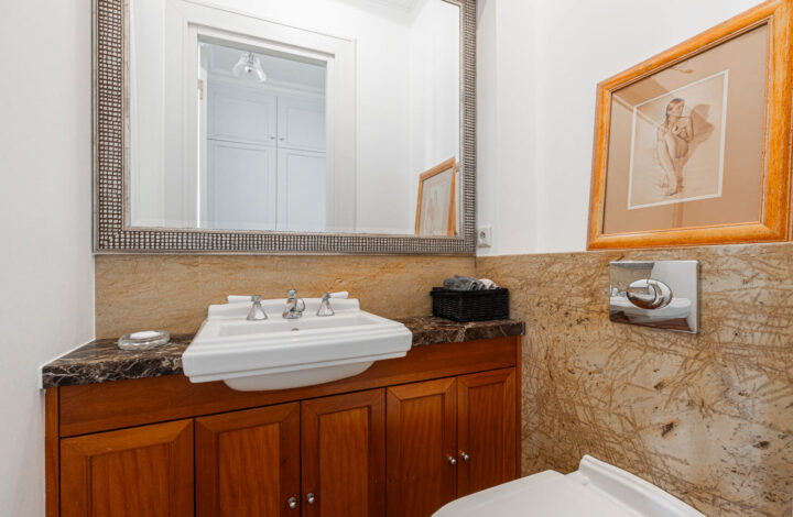 Penthouse with a rooftop terrace | Old Ochota
