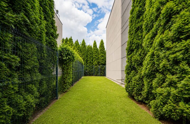 Apartment with Private Garden near Błonia