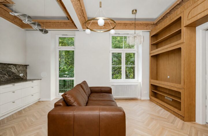 Premium Apartment with Historic Charm