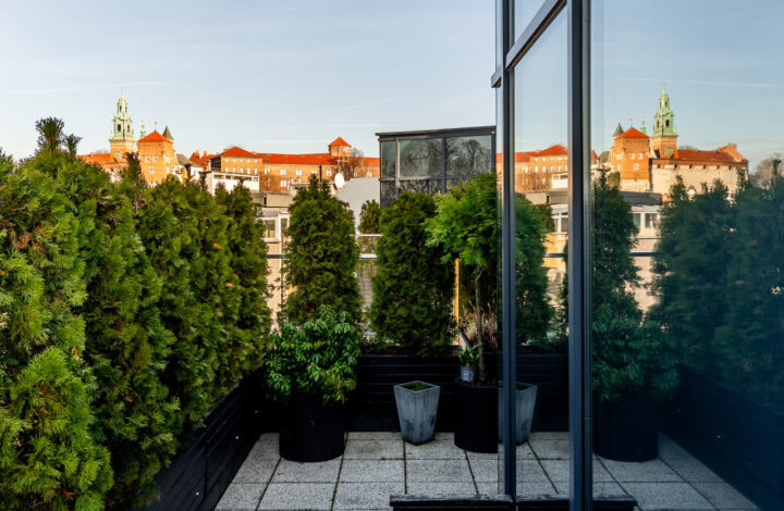 Bright penthouse with a View of Wawel!