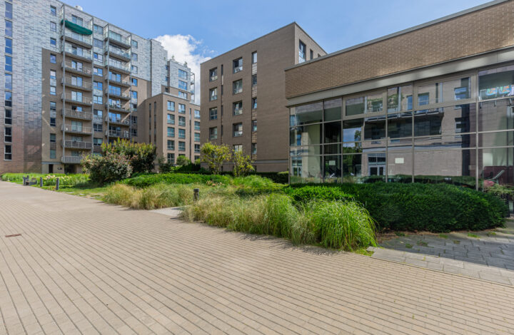 Premium Loft with Park View | Qbik