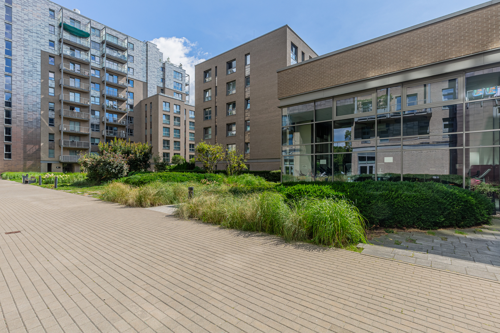 Premium Loft with Park View | Qbik