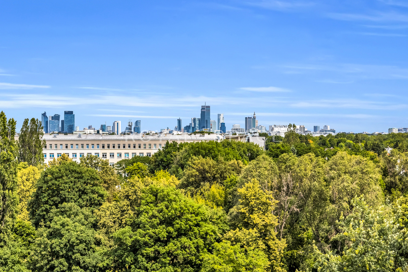 Duplex Loft with Panoramic City Views | Qbik